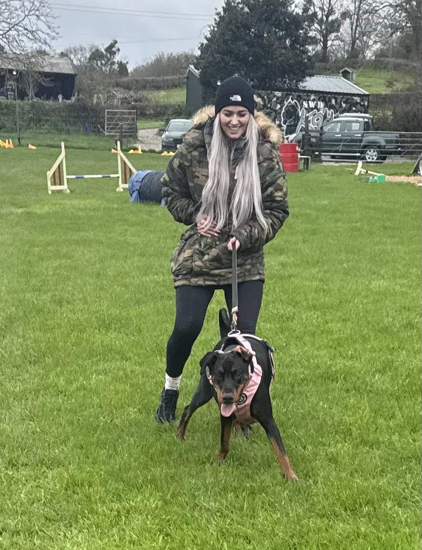 Aidan working with a dog